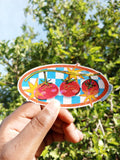Tomatoes Picnic