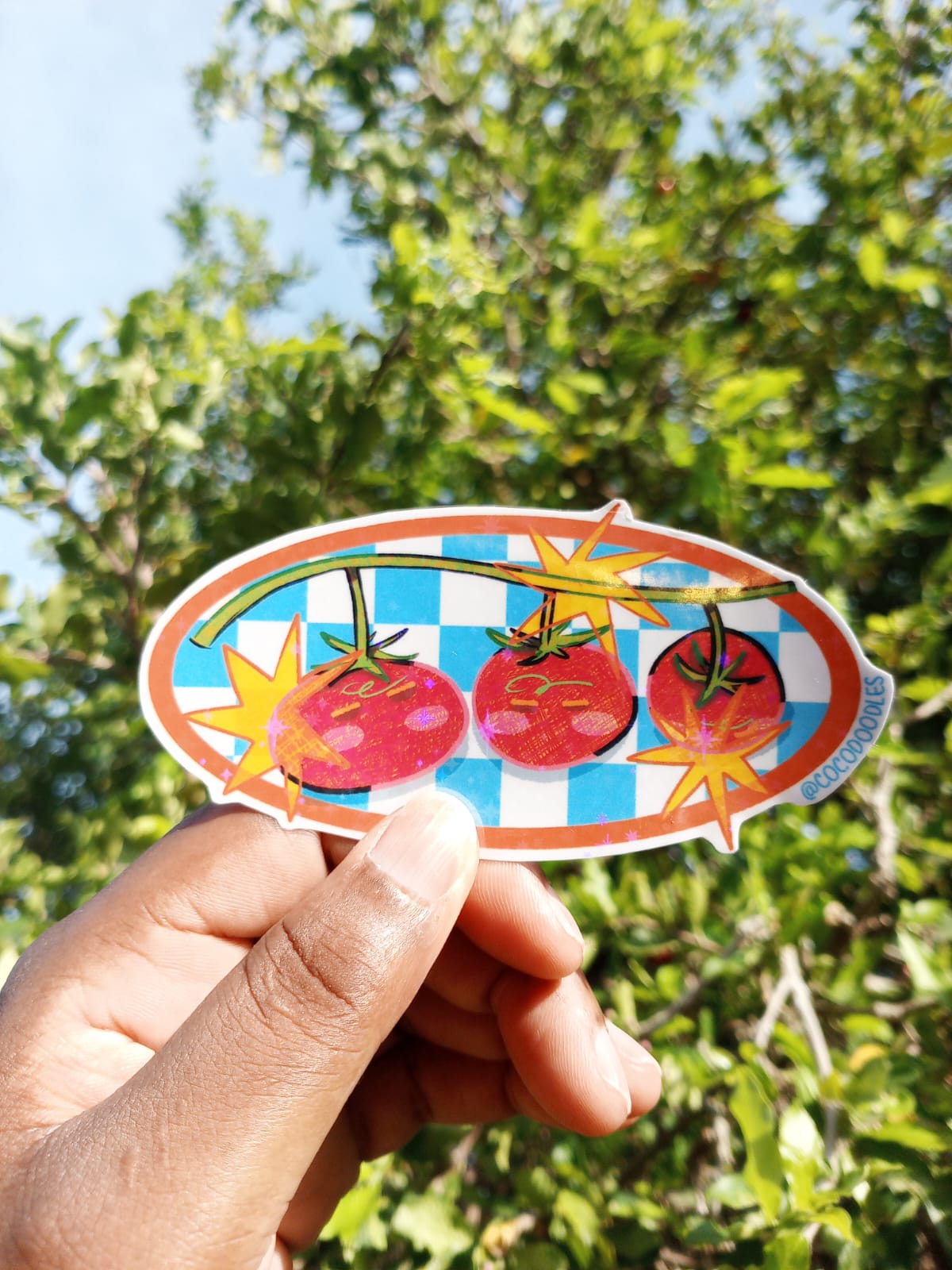 Tomatoes Picnic